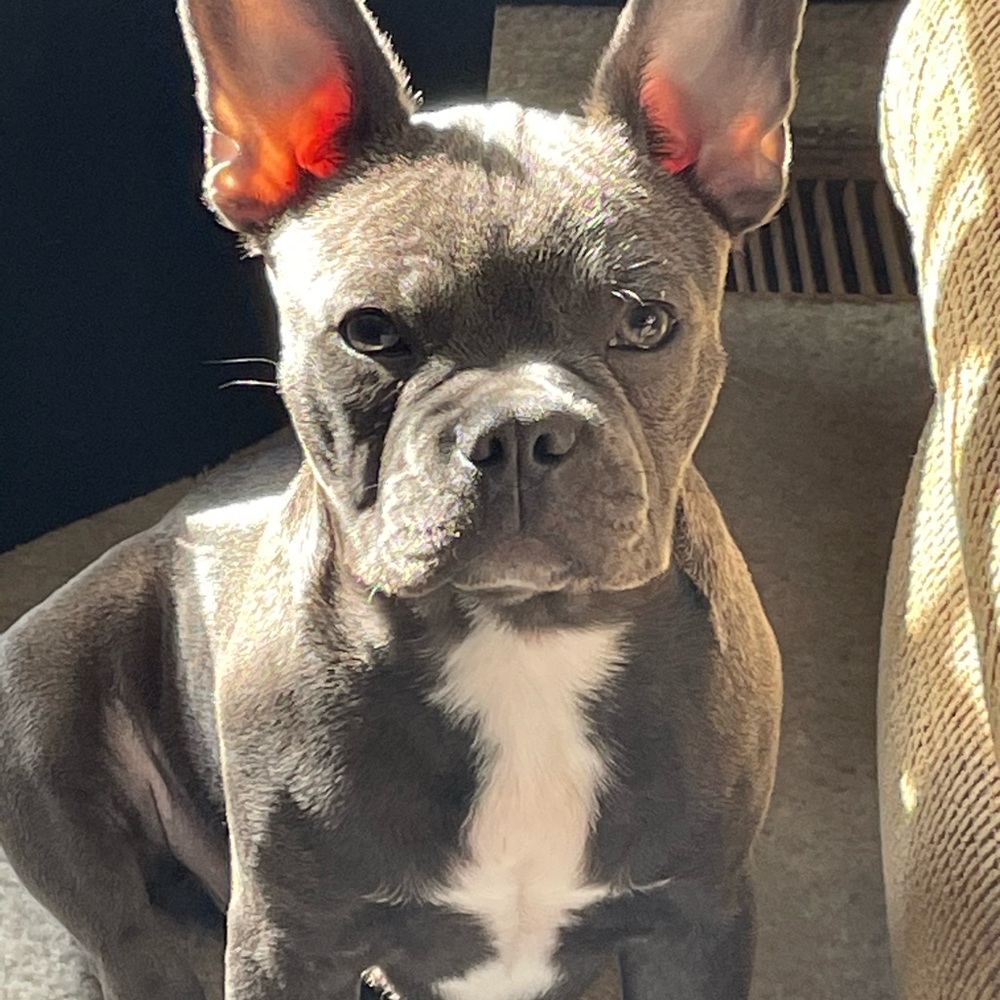 👋 I’m Ashley, I am Selling from my Mothers Estate. Enjoy!